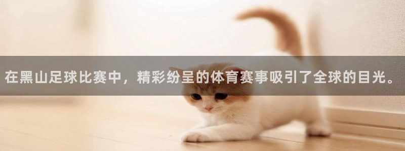 在黑山足球比赛中，精彩纷呈的体育赛事吸引了全球的目光。