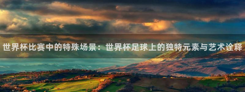 世界杯比赛中的特殊场景：世界杯足球上的独特元素与艺术诠释