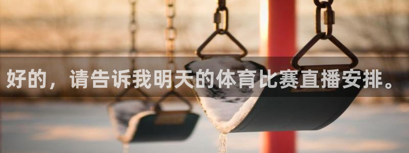 好的，请告诉我明天的体育比赛直播安排。
