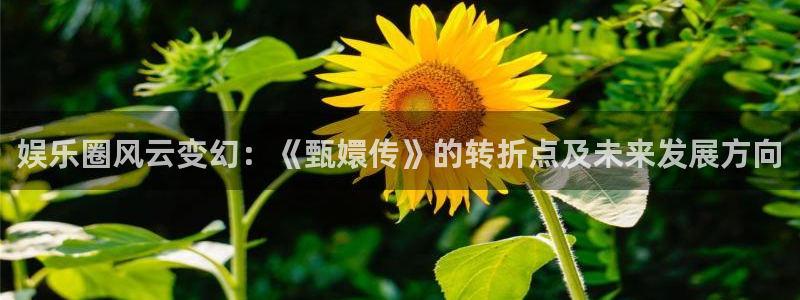 娱乐圈风云变幻：《甄嬛传》的转折点及未来发展方向