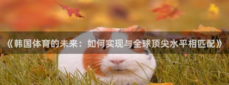《韩国体育的未来：如何实现与全球顶尖水平相匹配》