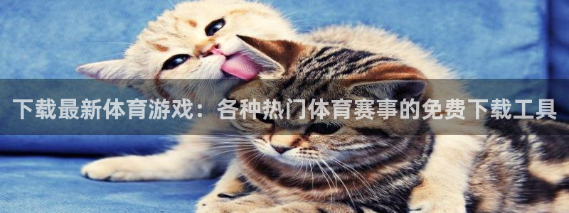 下载最新体育游戏：各种热门体育赛事的免费下载工具