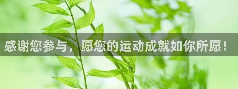 感谢您参与，愿您的运动成就如你所愿！