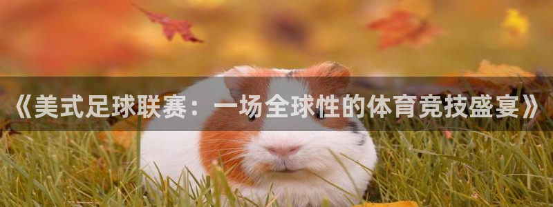 《美式足球联赛：一场全球性的体育竞技盛宴》