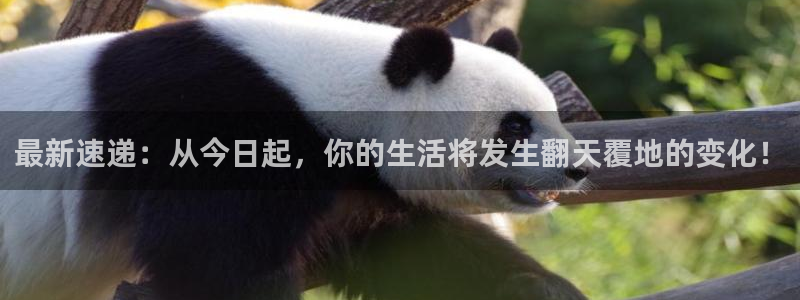 最新速递：从今日起，你的生活将发生翻天覆地的变化！