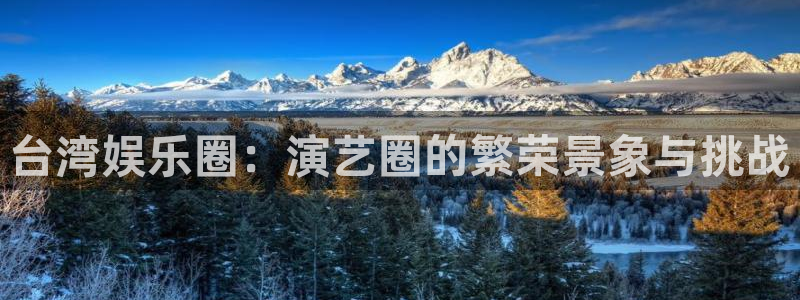 台湾娱乐圈：演艺圈的繁荣景象与挑战