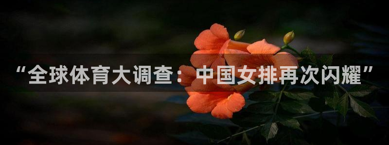 “全球体育大调查：中国女排再次闪耀”