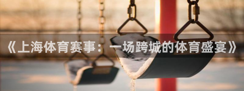 《上海体育赛事：一场跨城的体育盛宴》